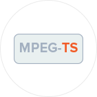 Direct MPEG-TS Ingestion