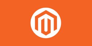 Clear Magento Directory During Its Development