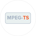 Direct MPEG-TS Ingestion
