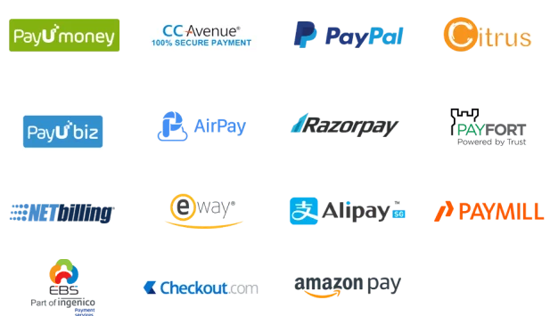 Ecommerce Marketplace Payment Options